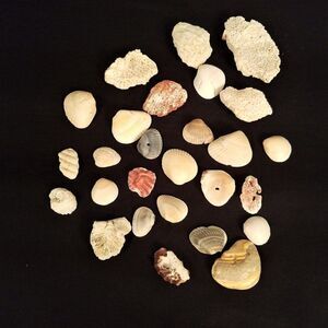 Small Corals & Seashells Arts Crafts Jewelry #8